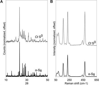 Insights Into the Mineralogy and Surface Chemistry of Extracellular Biogenic S0 Globules Produced by Chlorobaculum tepidum